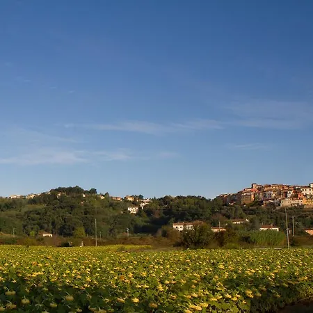 Il Ramaiolo