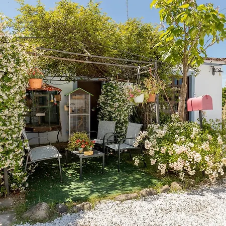 Il Ramaiolo Santa Maria a Monte